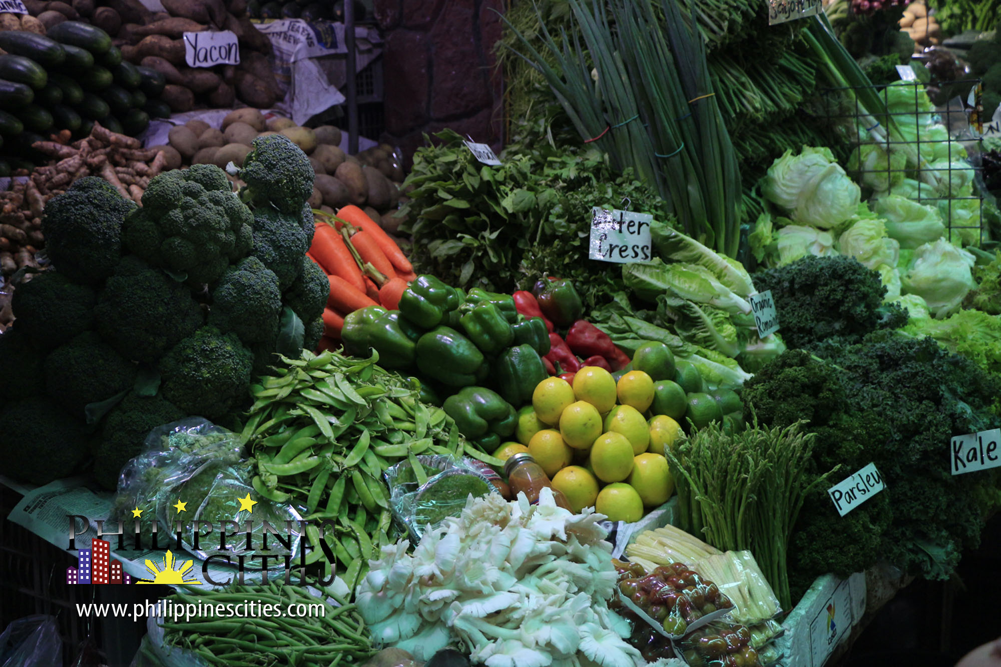 Baguio Vegetables Suppliers
