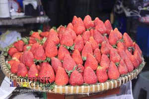 Baguio Strawberry