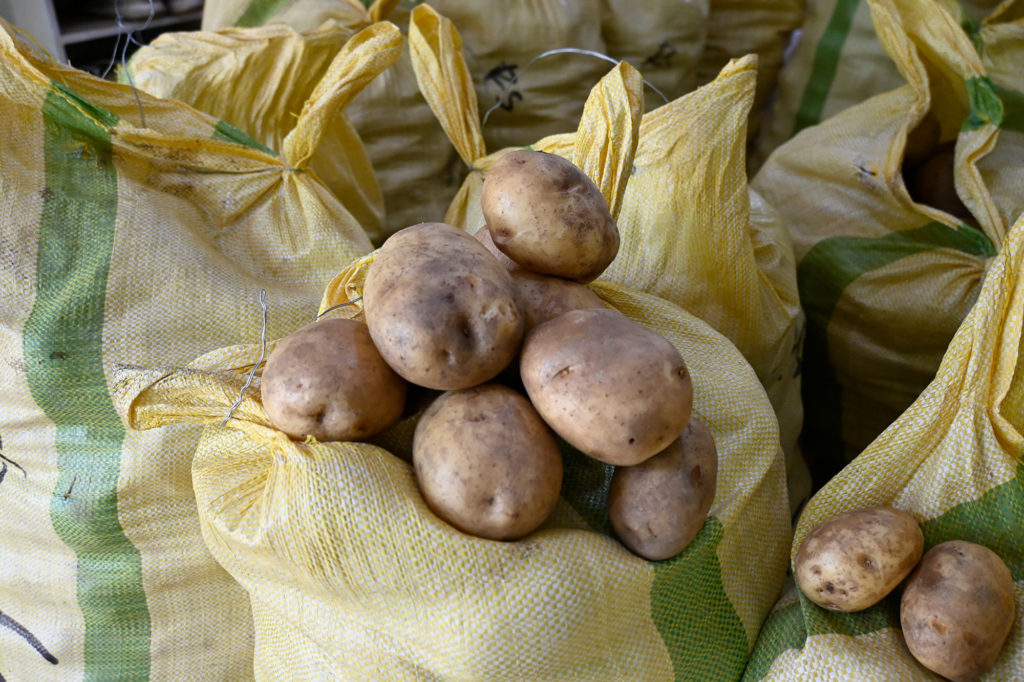 Benguet Baguio Potato Supplier
