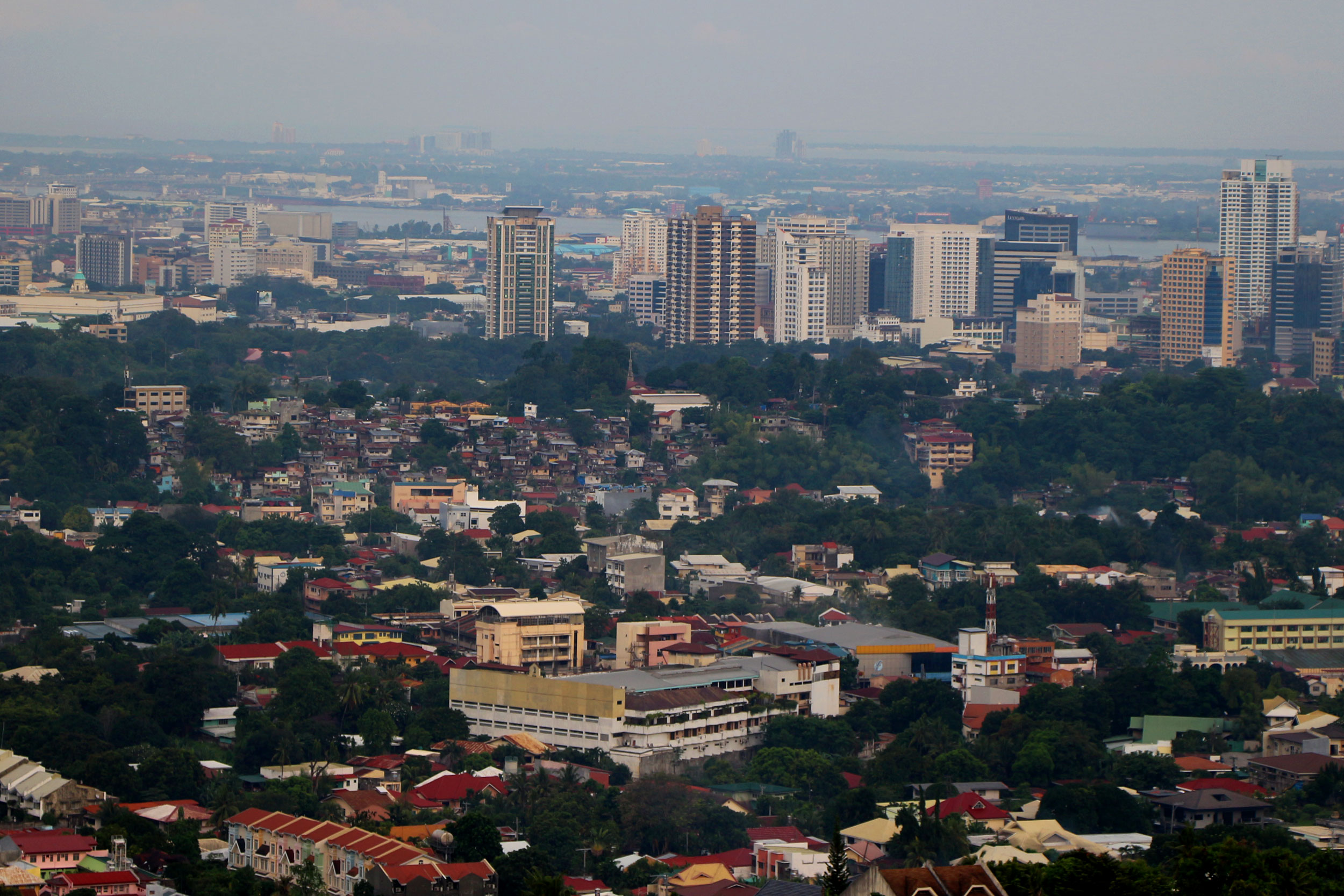 Cebu City Business