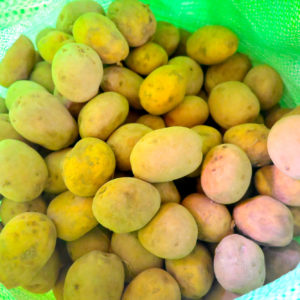 Baguio Small Potatoes