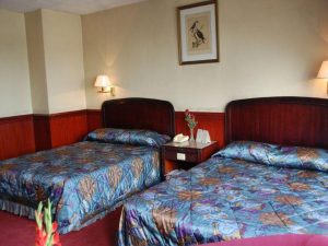 Great Eastern Hotel Quezon City Superior Double or Twin (Main Building)